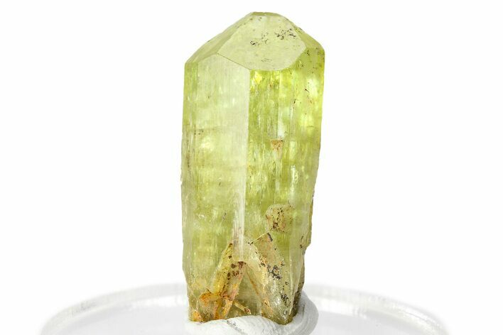 Gemmy Yellow-Green Apatite Crystal - Morocco #276516